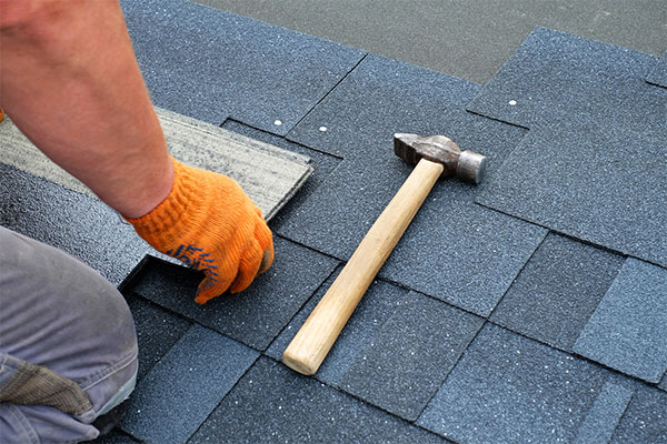 Professional Roofing Contractor